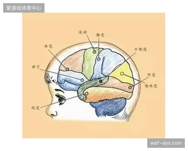 心理团队介入球员备战，旨在降低高温环境引发的中枢神经系统疲劳对决策能力的影响。